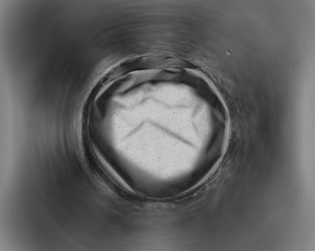 X0000087310242200705112122