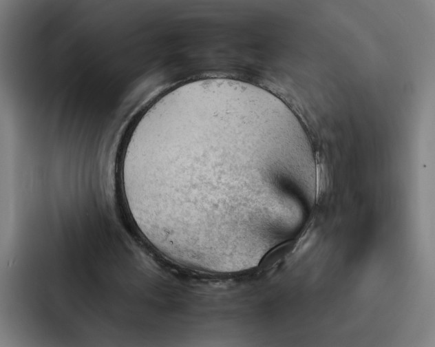 X0000087310243200705112122