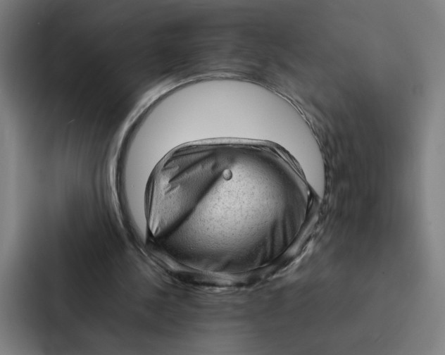 X0000087310244200705112122