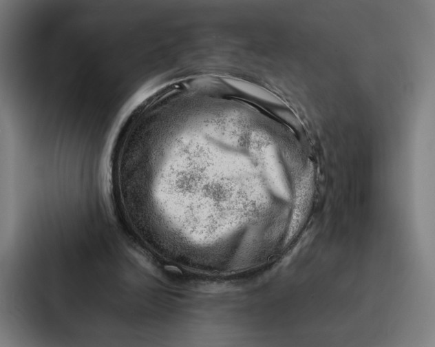 X0000087310246200705112122