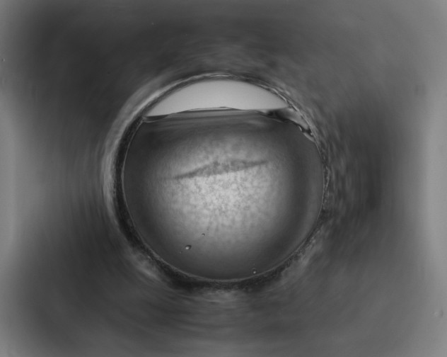 X0000087310247200705112122