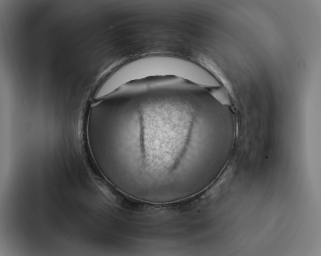 X0000087310249200705112122