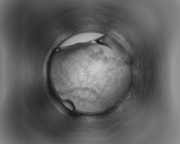 X0000087310250200705112122