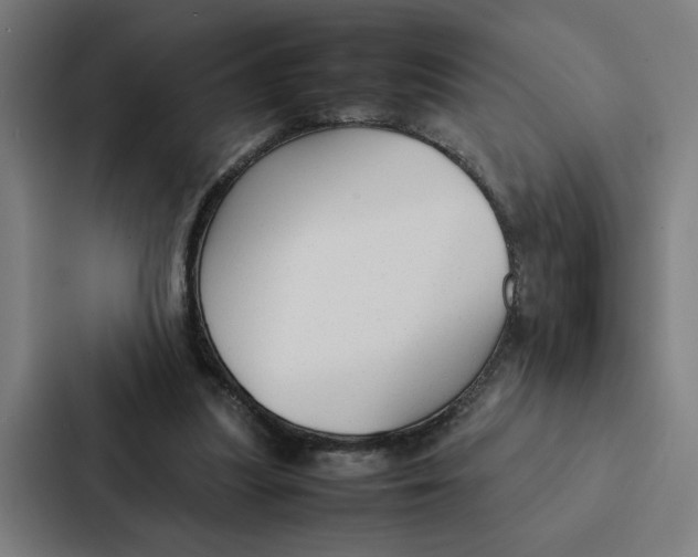 X0000087310251200705112122