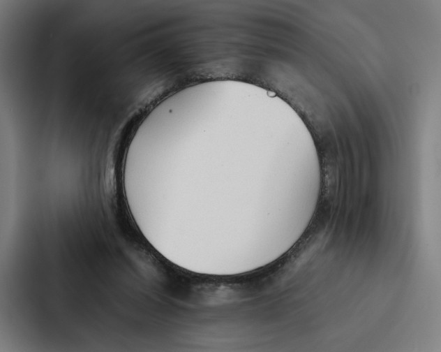 X0000087310254200705112122