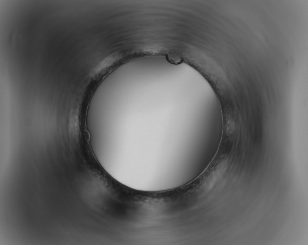 X0000087310256200705112122