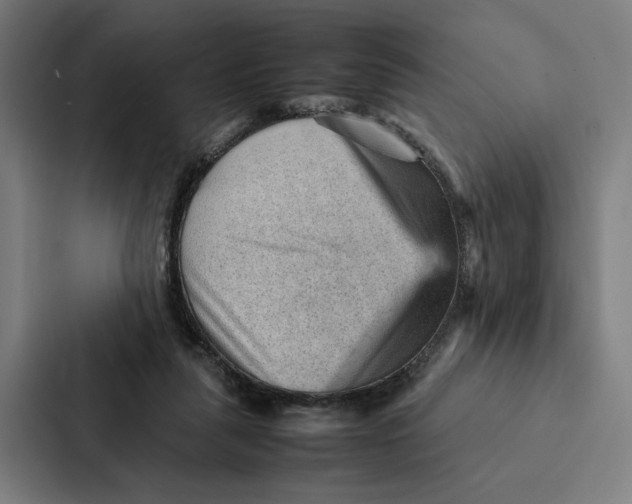 X0000087310259200705112123