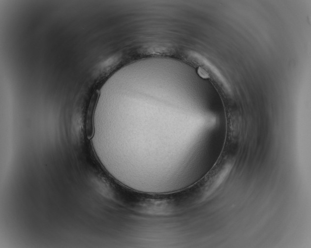 X0000087310260200705112123