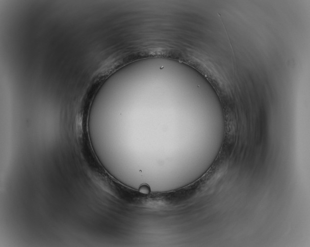 X0000087310262200705112123