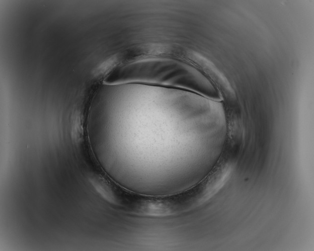 X0000087310264200705112123