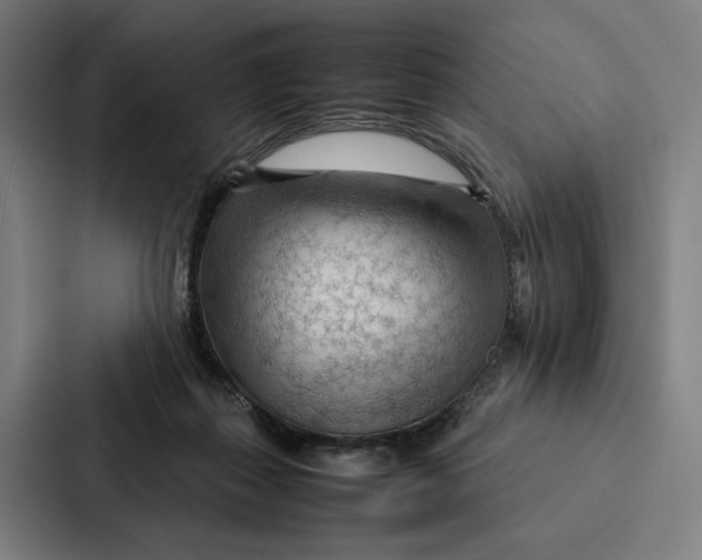 X0000087310267200705112123