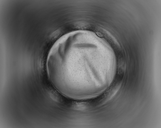 X0000087310268200705112123