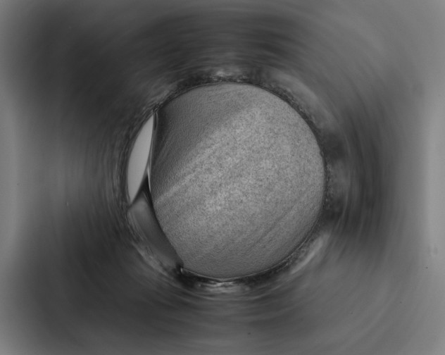 X0000087310269200705112123