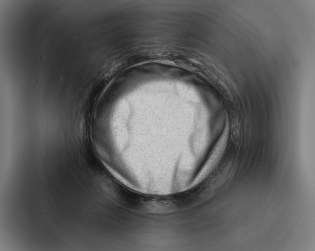 X0000087310270200705112123