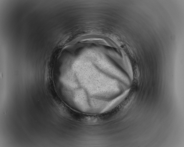 X0000087310272200705112123