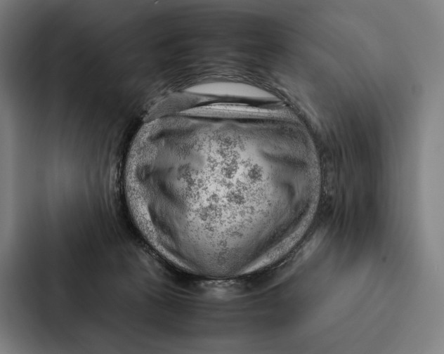 X0000087310273200705112123