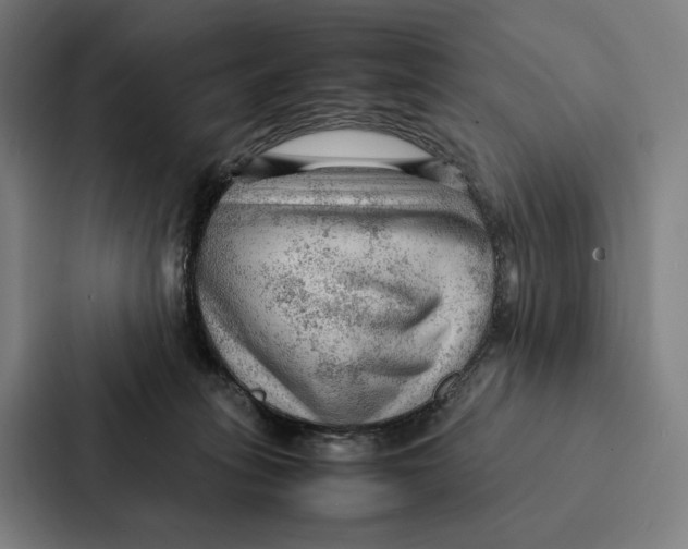 X0000087310275200705112123