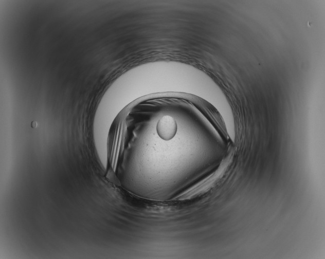 X0000087310276200705112123