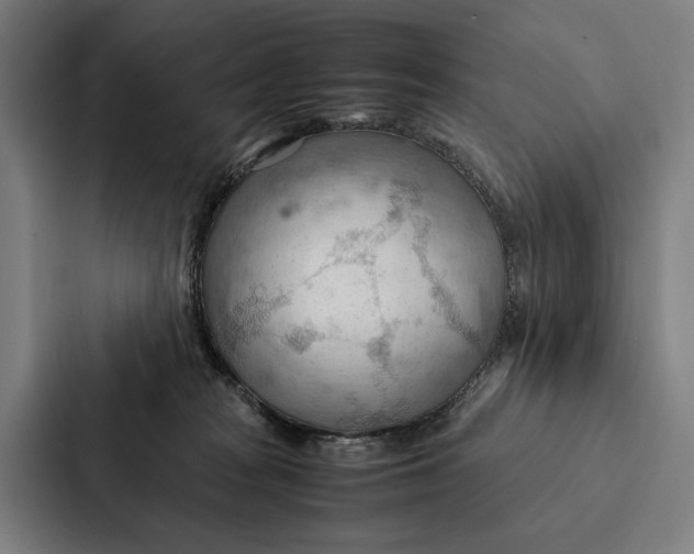 X0000087310277200705112123