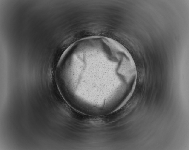 X0000087310279200705112123