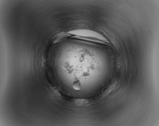 X0000087310281200705112123