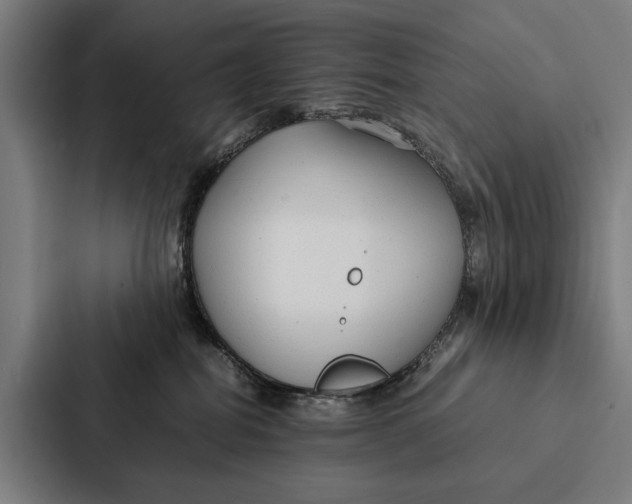 X0000087310282200705112123