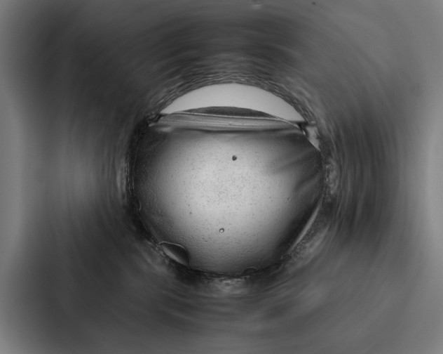 X0000087310283200705112123