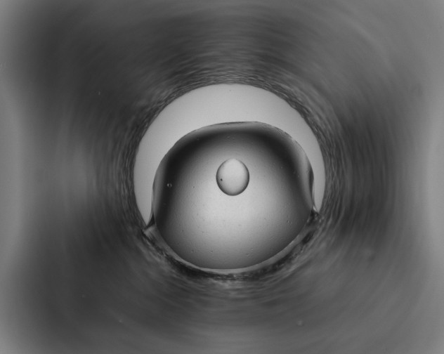 X0000087310284200705112123