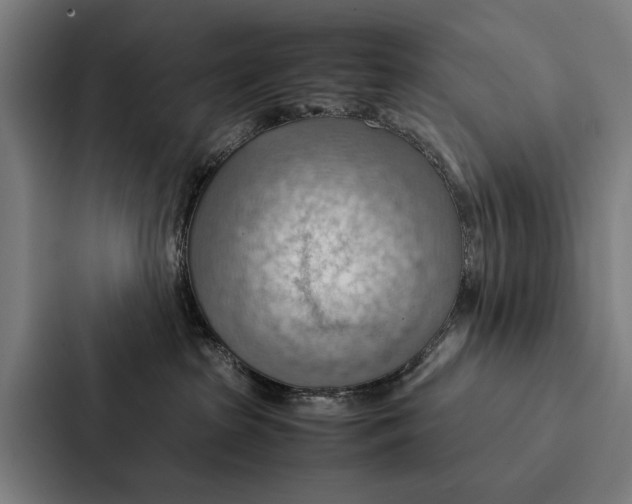 X0000087310285200705112123