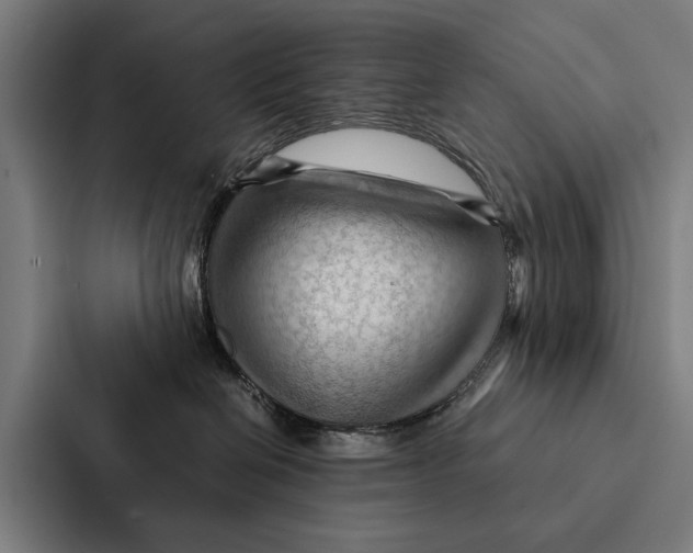 X0000087310286200705112123