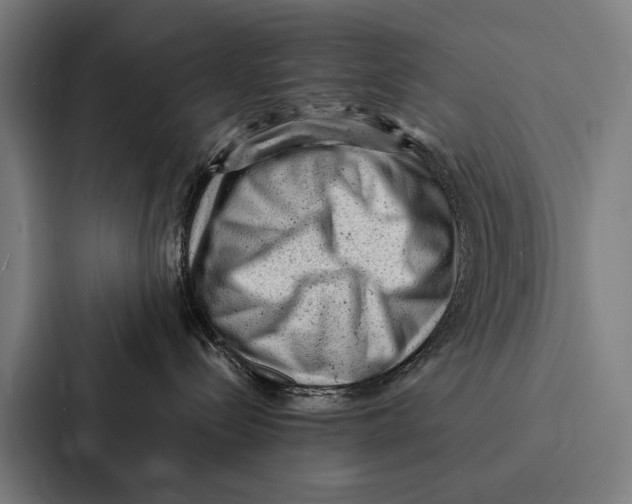 X0000087310288200705112123