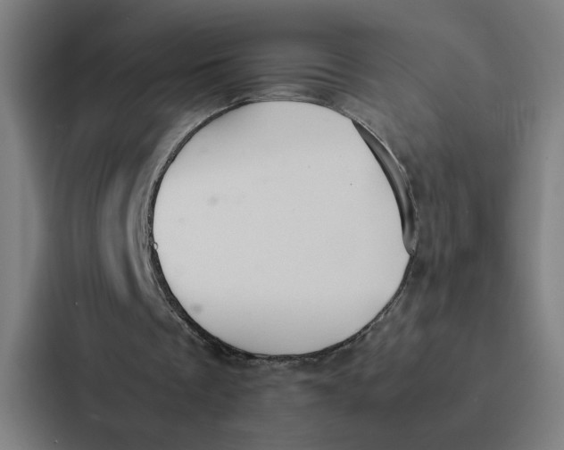 X0000087310289200705112122