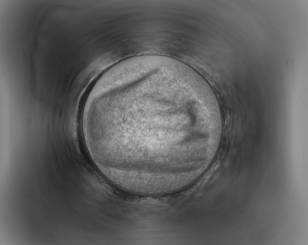 X0000087310290200705112122