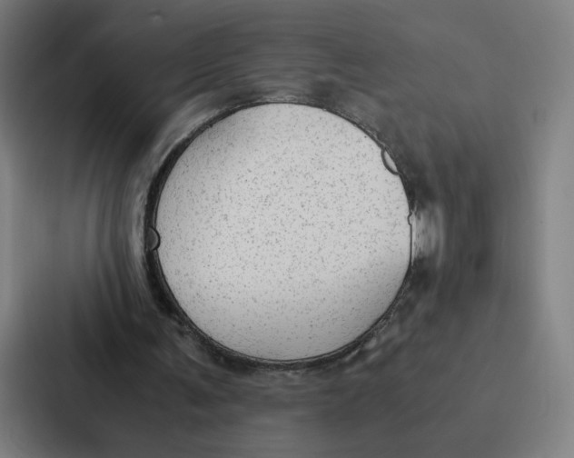 X0000087310291200705112122