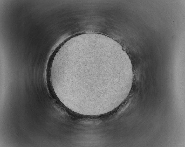 X0000087310292200705112122