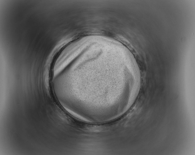 X0000087310293200705112122