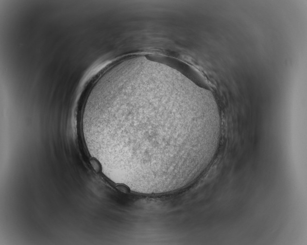 X0000087310294200705112122