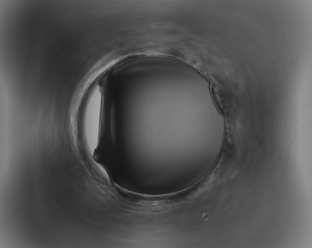 X0000087310295200705112122