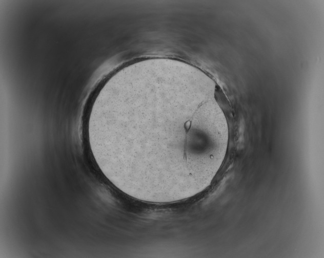 X0000087310296200705112122