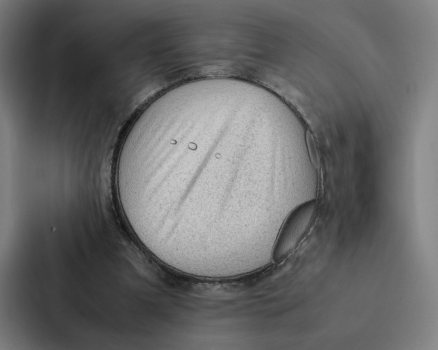 X0000087310297200705112122