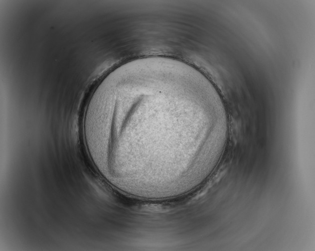 X0000087310298200705112122