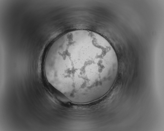 X0000087310299200705112122