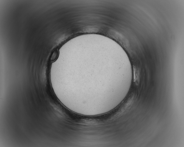 X0000087310300200705112122