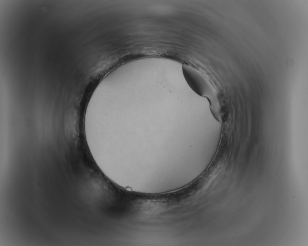 X0000087310303200705112122