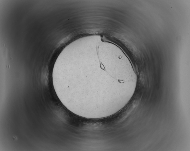 X0000087310304200705112122