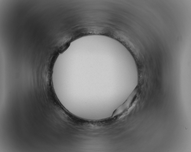 X0000087310305200705112122