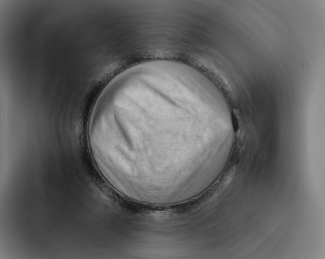 X0000087310306200705112122