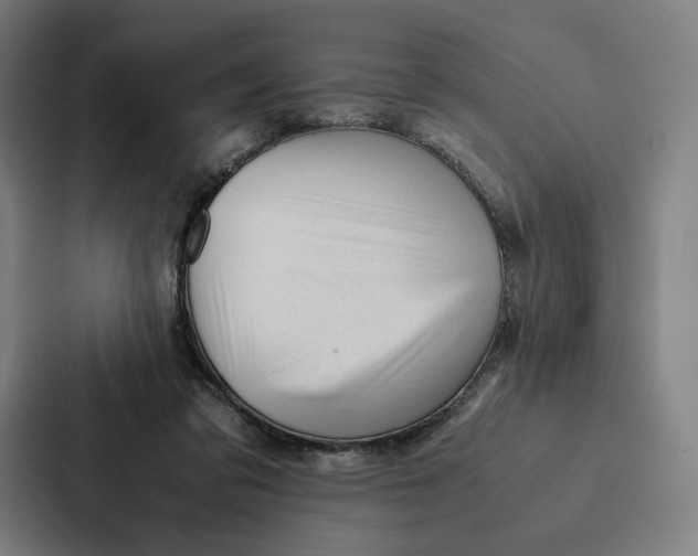 X0000087310309200705112122