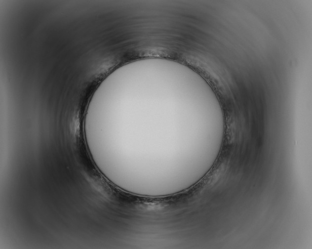 X0000087310310200705112122