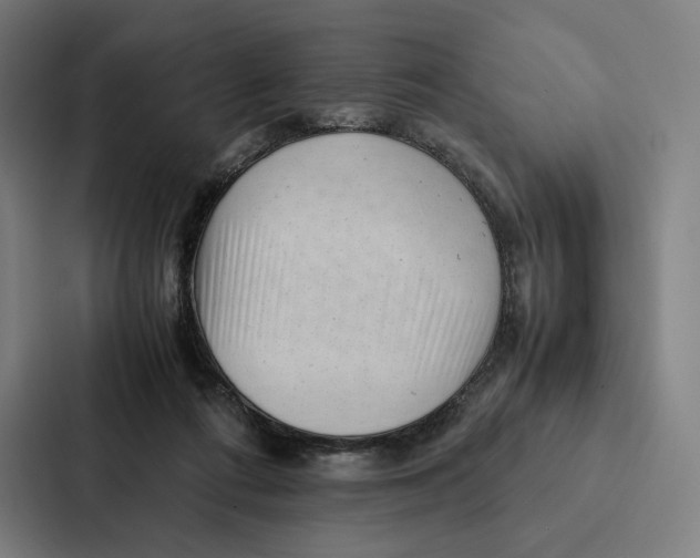 X0000087310312200705112122